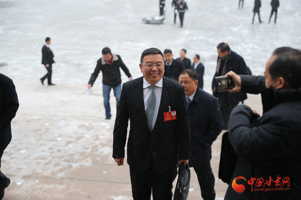 【聚焦2020甘肅兩會】“兩會”代表、委員風采掠影（組圖）