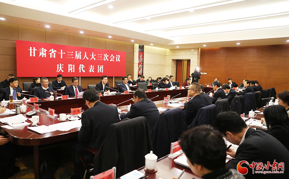 【聚焦2020甘肅兩會】省十三屆人大三次會議各代表團(tuán)分組審議《政府工作報告》（組圖）