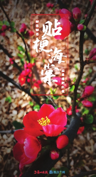 來，跟這些美美的花朵認(rèn)識一下！
