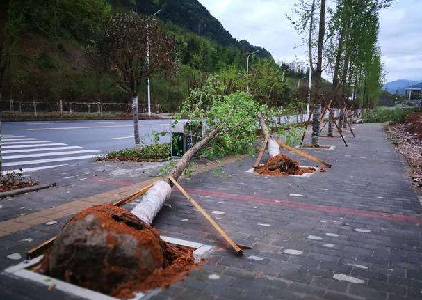 刮風(fēng)下雨加速新冠病毒傳播？別信！