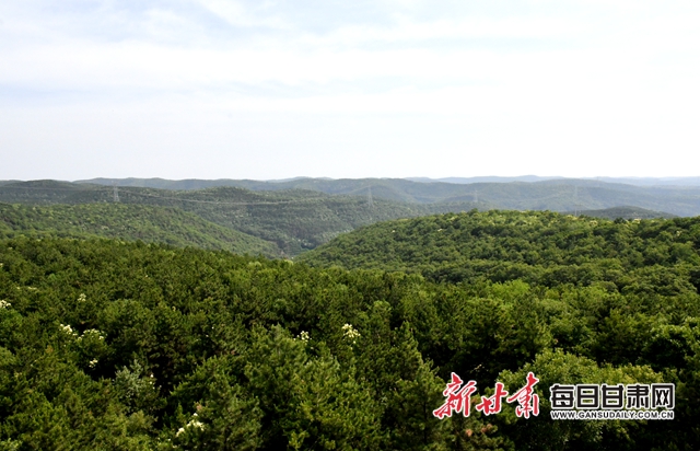 【甘肅生態(tài)環(huán)保媒體行】子午嶺深處，一家三代人用生命守護(hù)黃土高原的“天然生態(tài)屏障”
