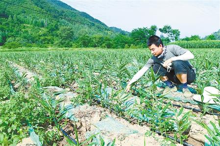 【走向我們的小康生活】安居樂業(yè) 幸?；ㄩ_