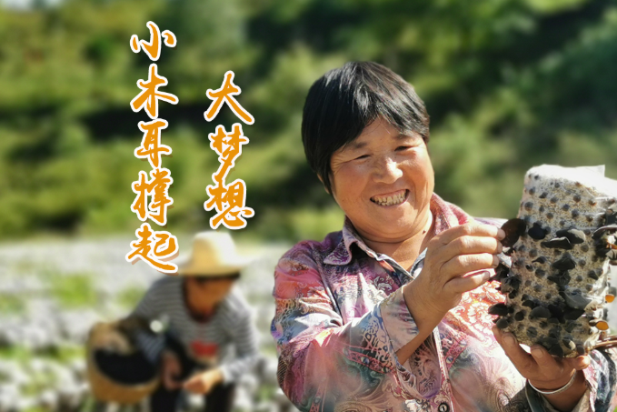 海報丨他們，乘“豐”破浪！