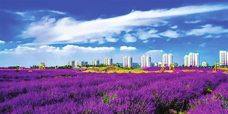 “三連冠”！金昌蟬聯(lián)全國文明城市