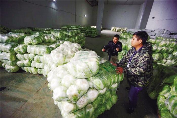 蘭州市已儲備1萬噸冬春蔬菜以耐貯存、易周轉(zhuǎn)品種為主