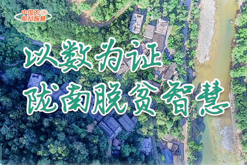 【中國(guó)的脫貧智慧】以數(shù)為證！隴南脫貧智慧來(lái)了！