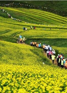 甘肅明確農(nóng)民進(jìn)城落戶:不以退出承包地、林地等為條件