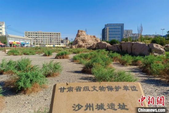 圖為沙州郡城遺址公園古遺址?！⊥醣筱y 攝