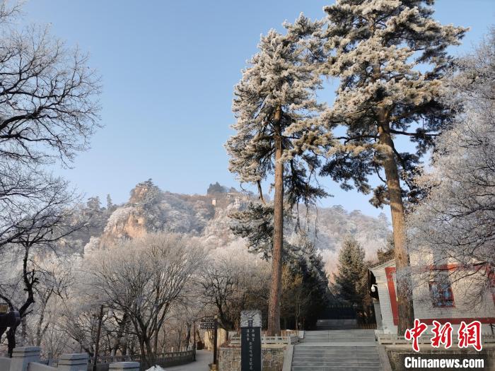 圖為崆峒山霧凇景色美不勝收?！⌒煺袢A 攝