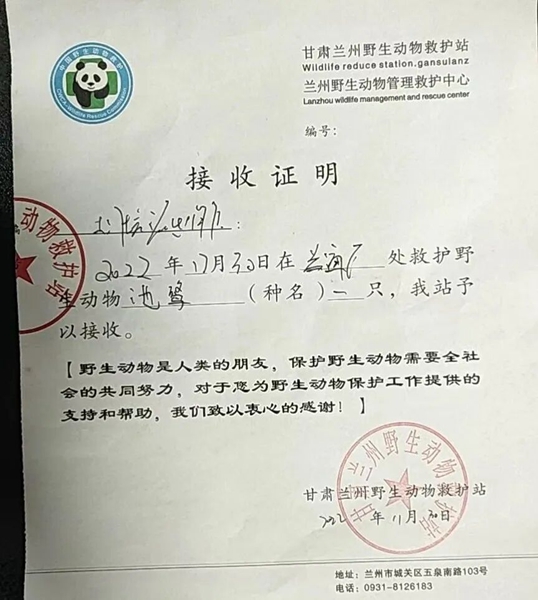 受到救助的池鷺被蘭州野生動物保護站接收。（蘭州市公安局七里河分局供圖）