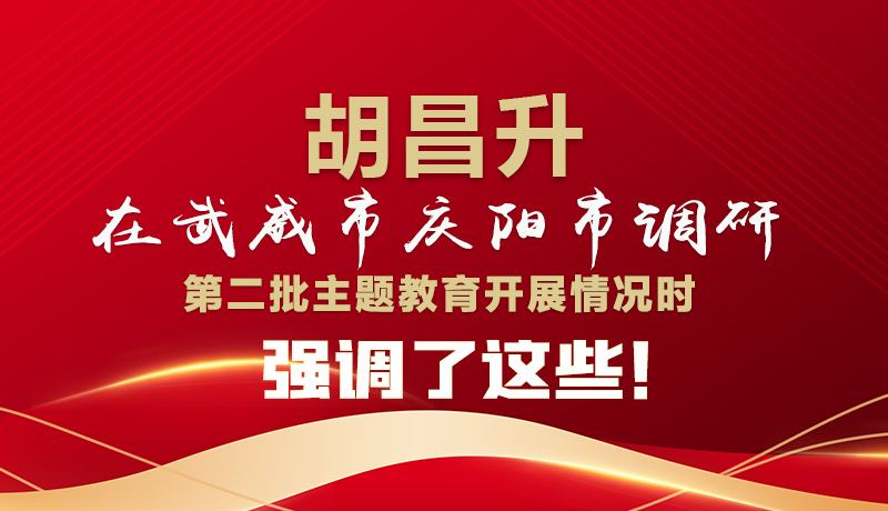 圖解|胡昌升在武威市慶陽(yáng)市調(diào)研第二批主題教育開(kāi)展情況時(shí)強(qiáng)調(diào)了這些！