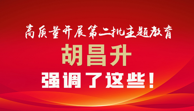 圖解|高質量開展第二批主題教育 胡昌升強調了這些！