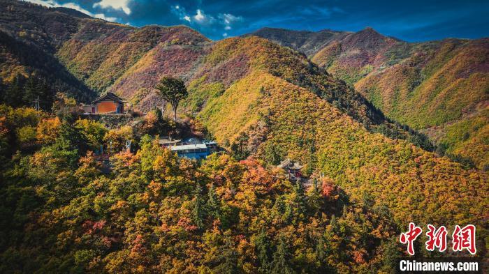 深秋，位于蘭州市榆中縣的興隆山，似打翻調(diào)色板。金峯 攝