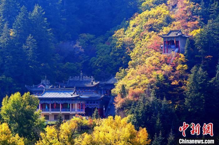 深秋，位于蘭州市榆中縣的興隆山景色如畫。宮衛(wèi)紅 攝