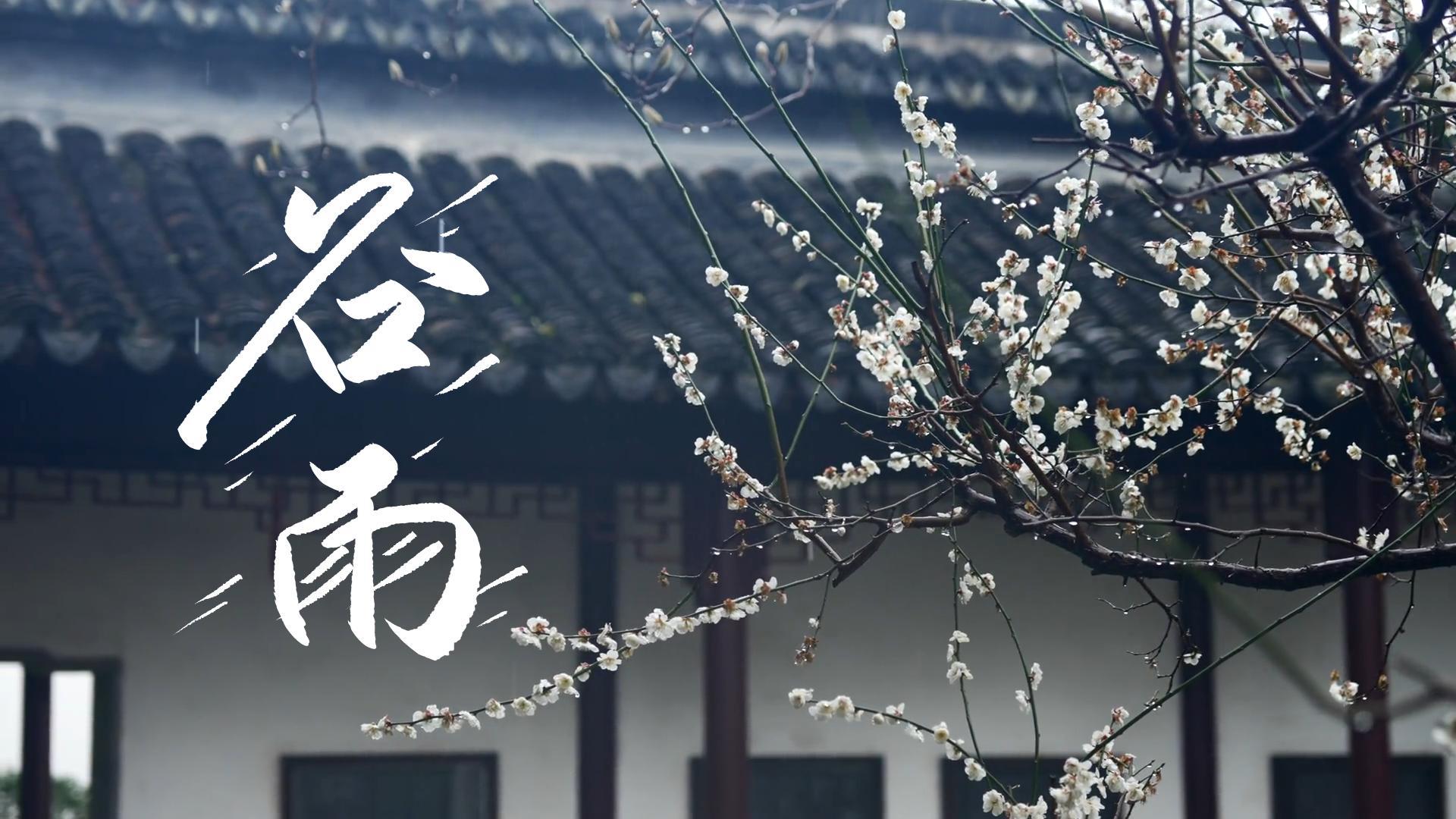 【節(jié)氣里的大美甘肅】谷雨，春天的最后一次回眸