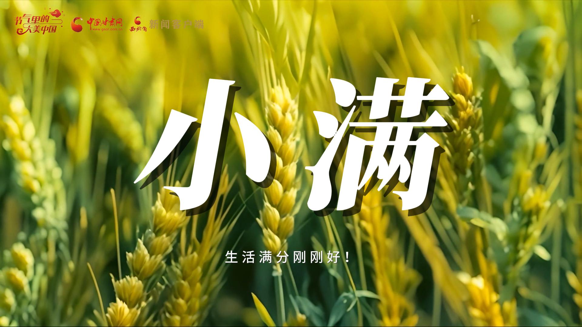 【節(jié)氣里的大美甘肅·小滿】生活滿分剛剛好！