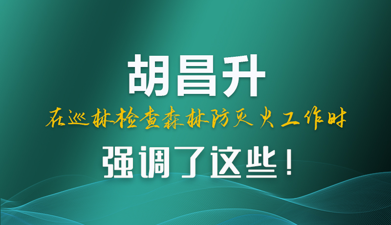 圖解|胡昌升在巡林檢查森林防滅火工作時強(qiáng)調(diào)了這些！