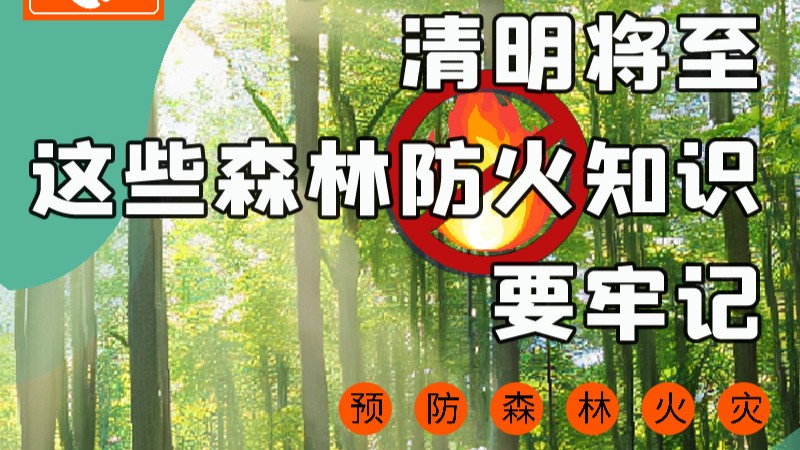 【甘快看】圖解|緊繃“安全弦”！清明，這些森林防火知識要牢記